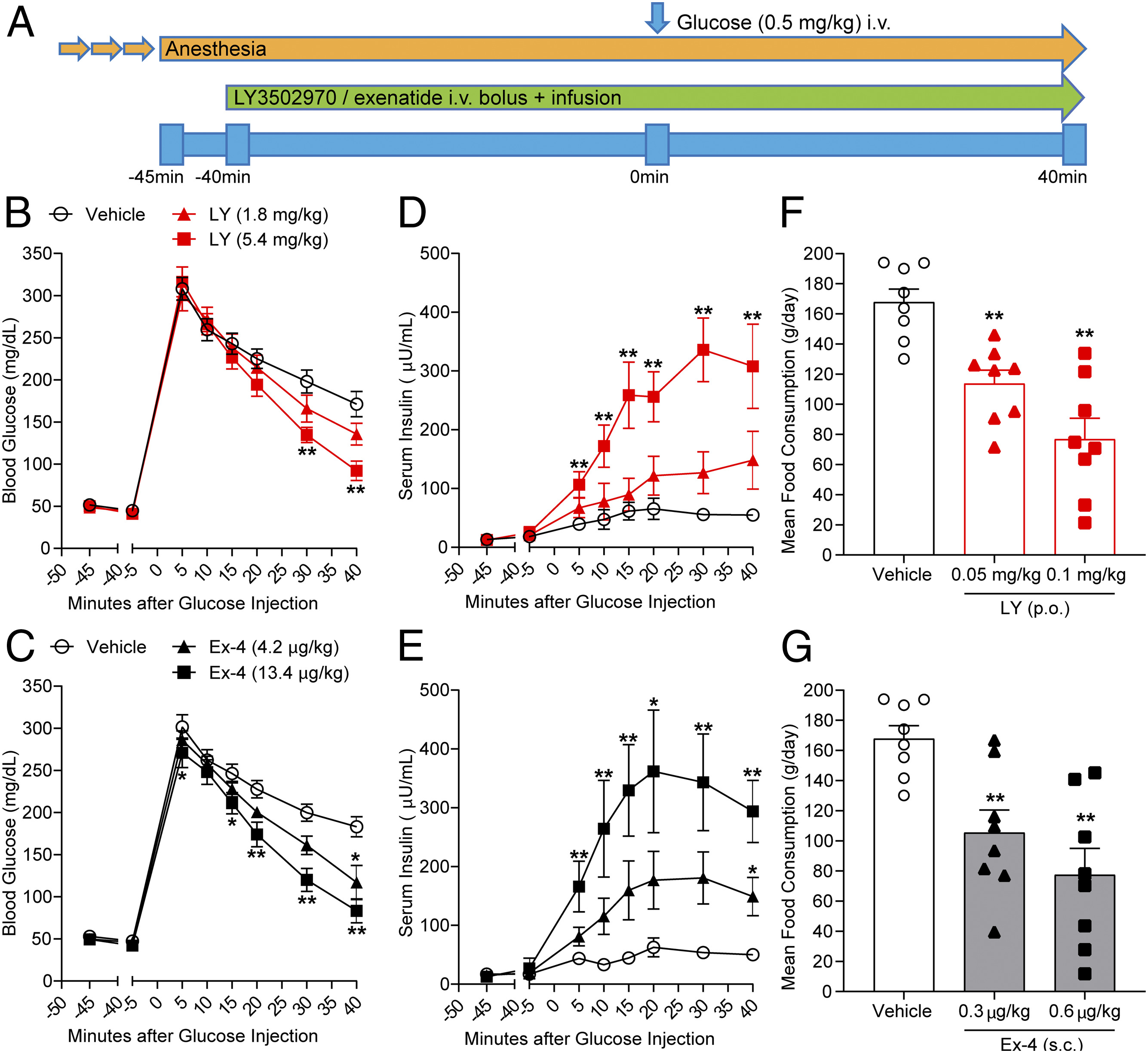 Chugai and Lilly publish how orforglipron activates the human GLP-1 receptor