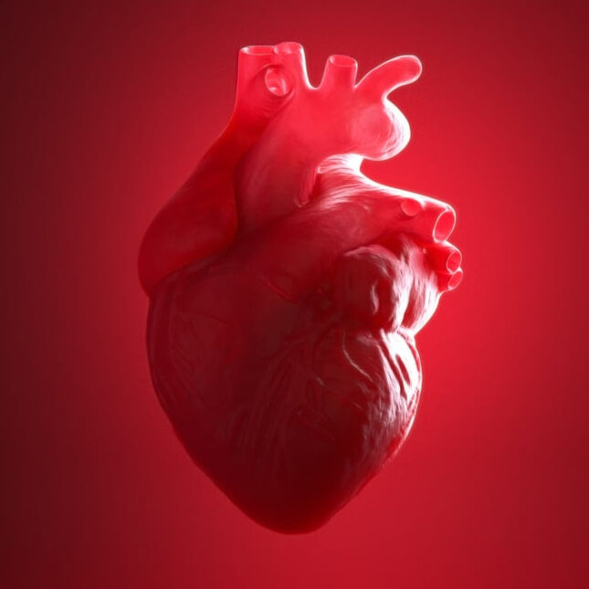 Heart image