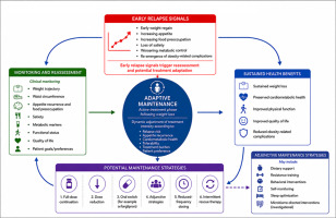 Researchers propose an 'adaptive maintenance' framework beyond continue-or-stop