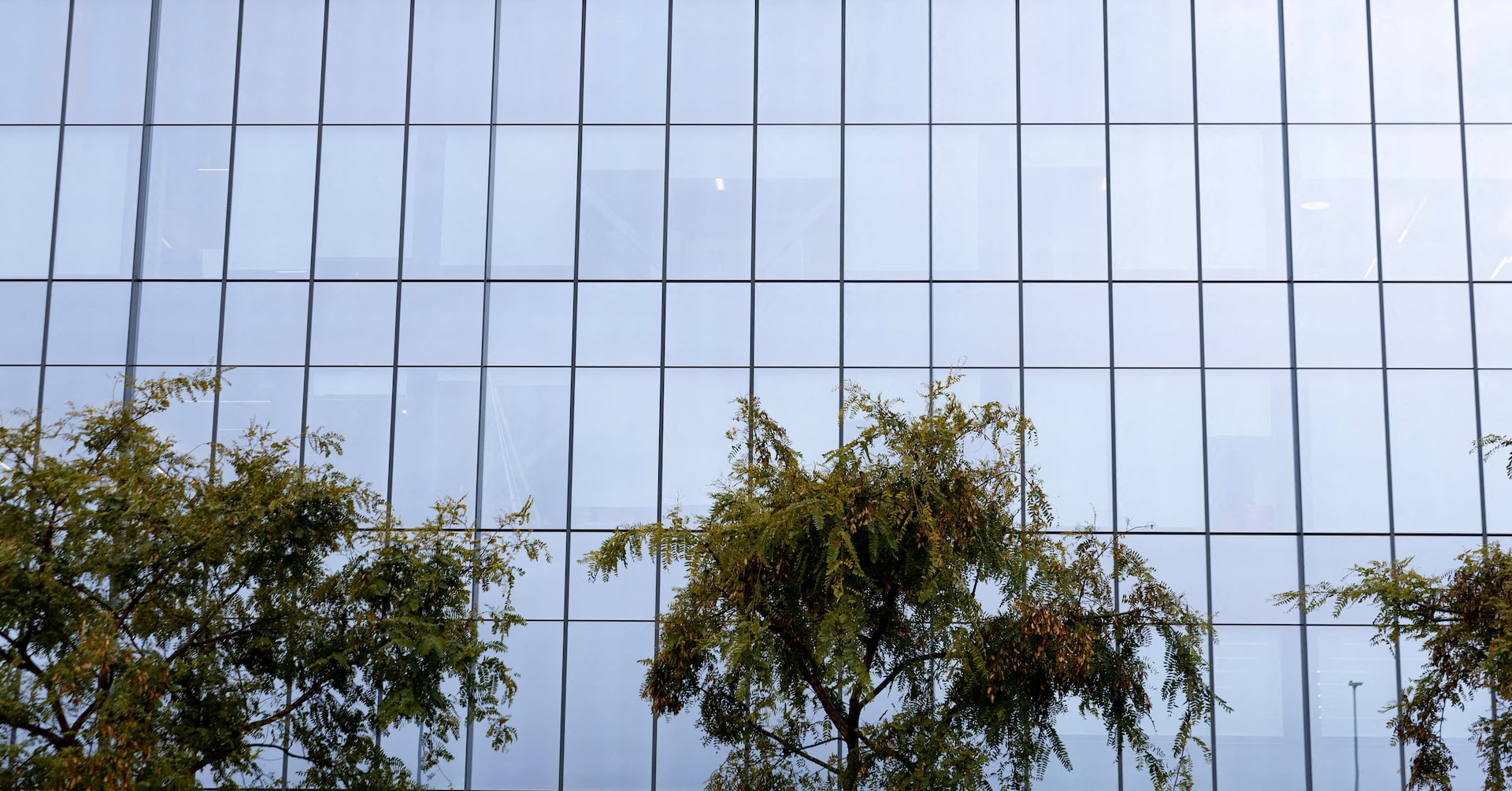 FDA reaffirms the tirzepatide shortage resolution and starts the wind-down clocks