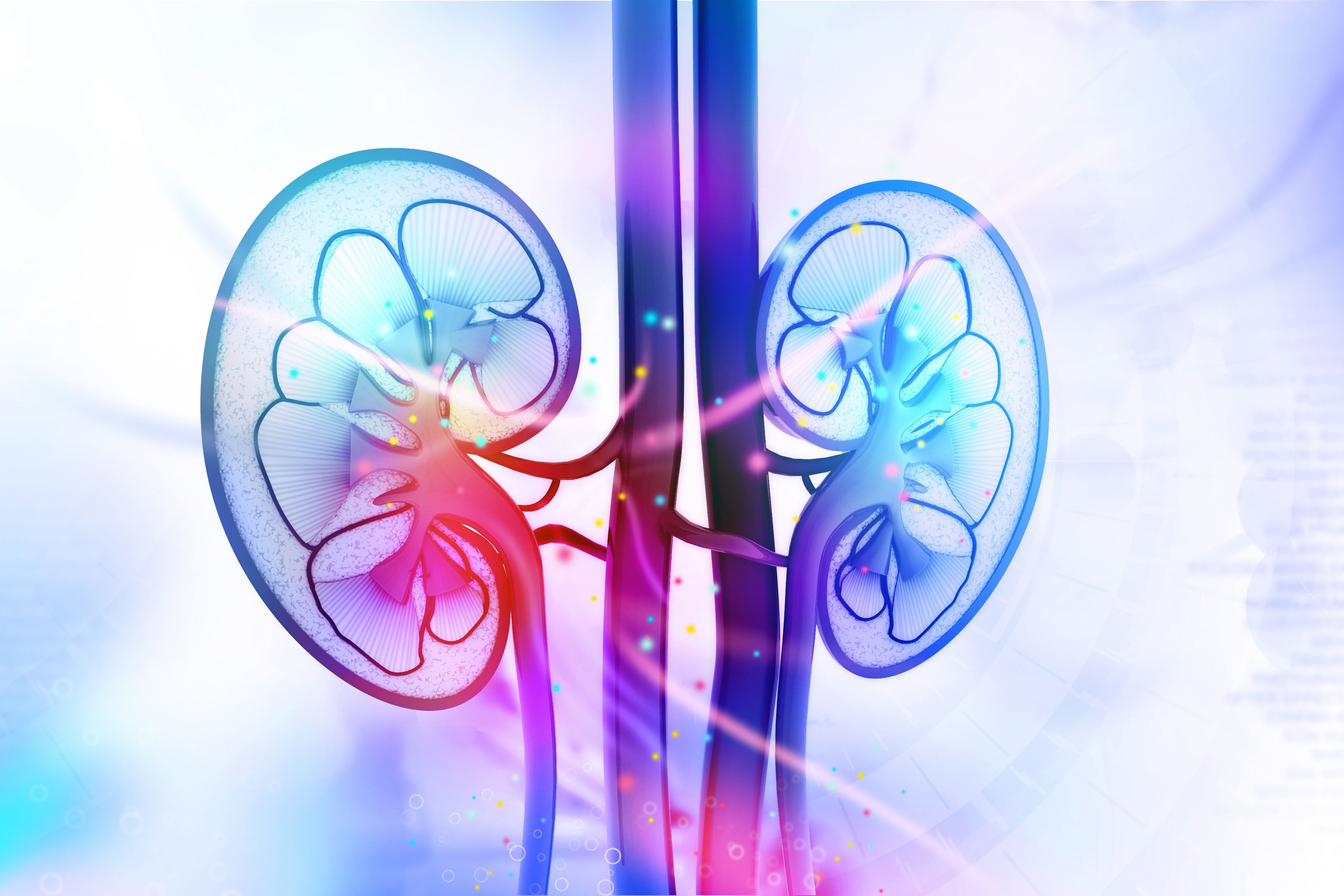 SURPASS-4 analysis shows tirzepatide slowing kidney decline in type 2 diabetes