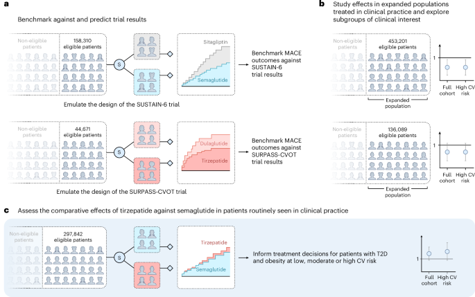 Fig. 1: Overview of the study design to assess the comparative effects of semaglutide and tirzepatide in patients at cardiovascular risk.