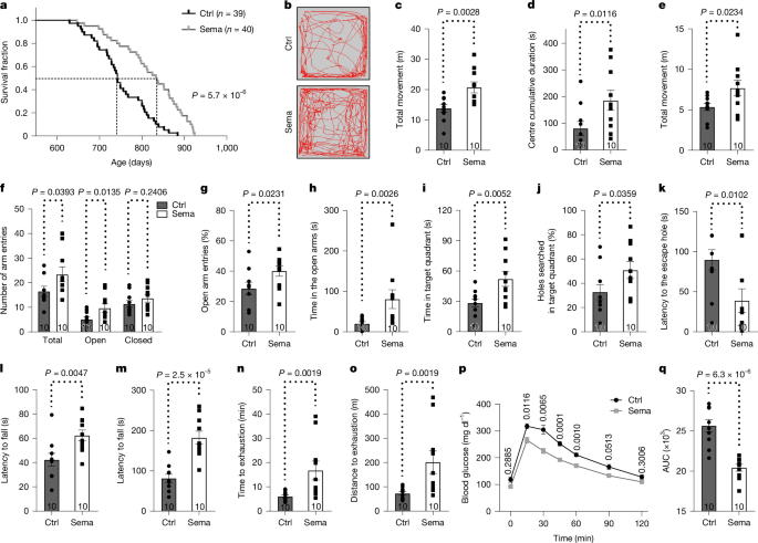 Nature reports late-life semaglutide extended lifespan 12% in female mice