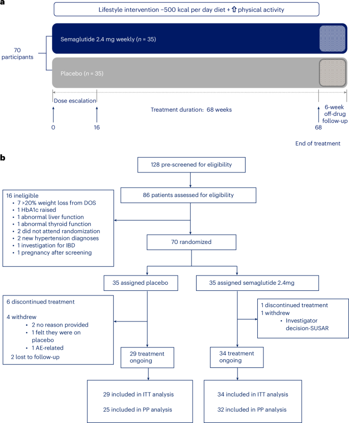 Fig. 1: BARI-STEP trial design and CONSORT diagram.