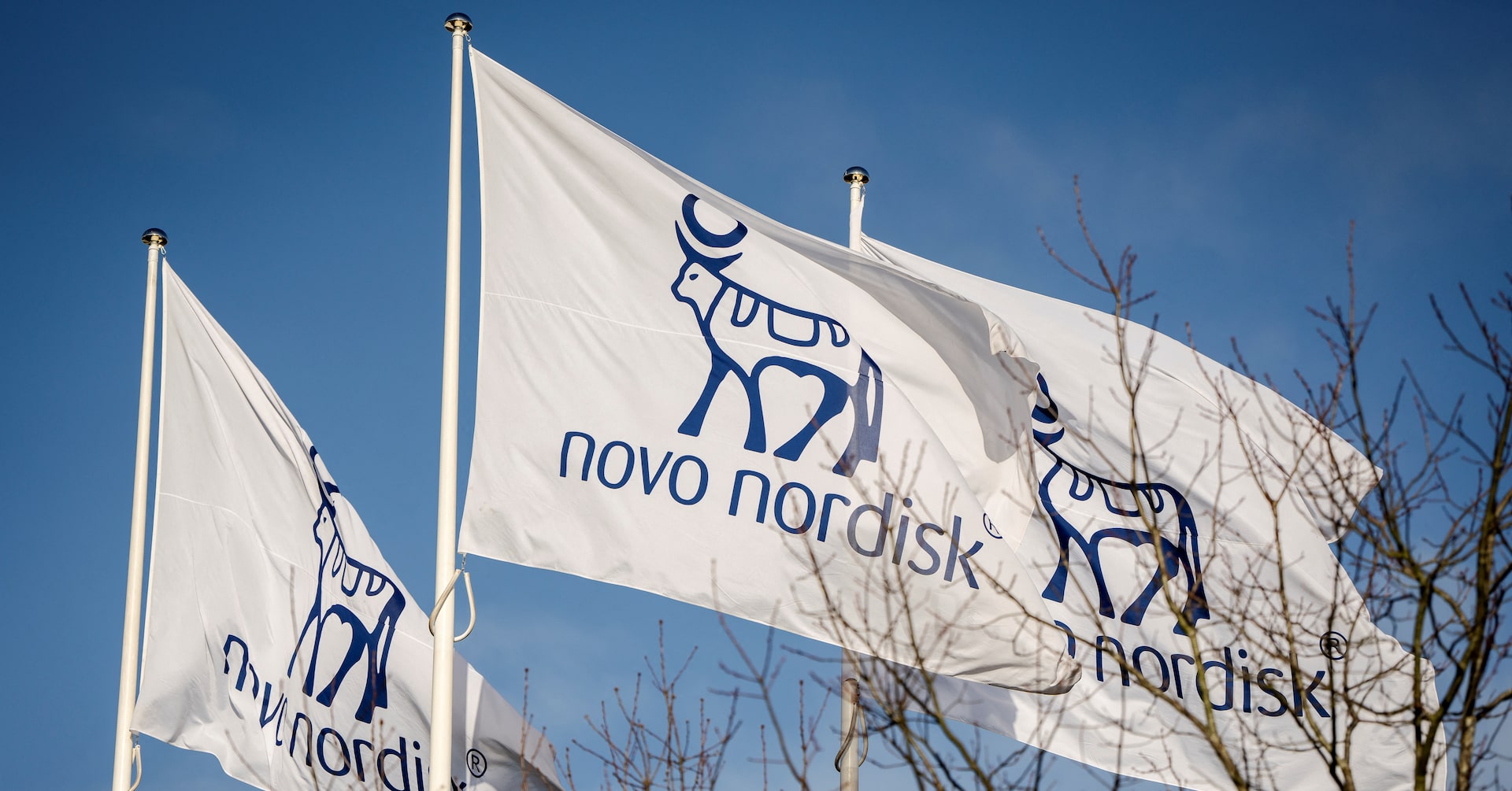 Novo Nordisk briefly regains the title of Europe's most valuable company