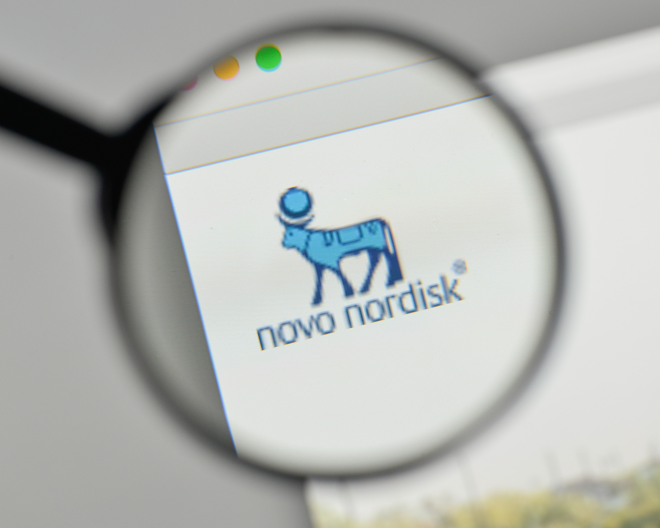 Novo Nordisk closes its worst year on record, down nearly 50%