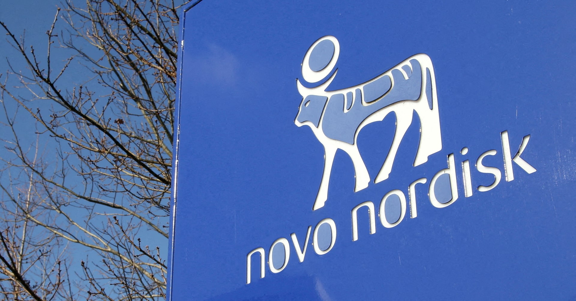 Novo Nordisk Foundation completes its board takeover