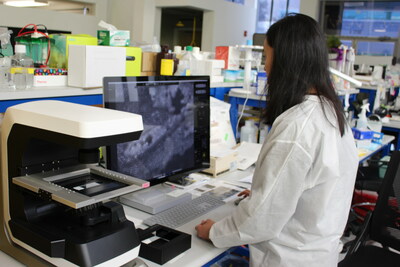 Fauna Bio Research Scientist Evelyn Tran analyzes tissue sections from validation experiments in the Fauna Bio research labs in Emeryville, CA