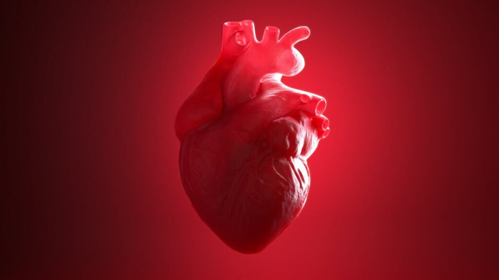 Novo Nordisk halts the HERMES and ATHENA ziltivekimab heart failure trials for futility