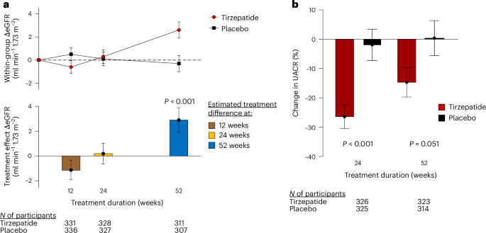 Fig. 3: Effects of tirzepatide on kidney function and albuminuria.