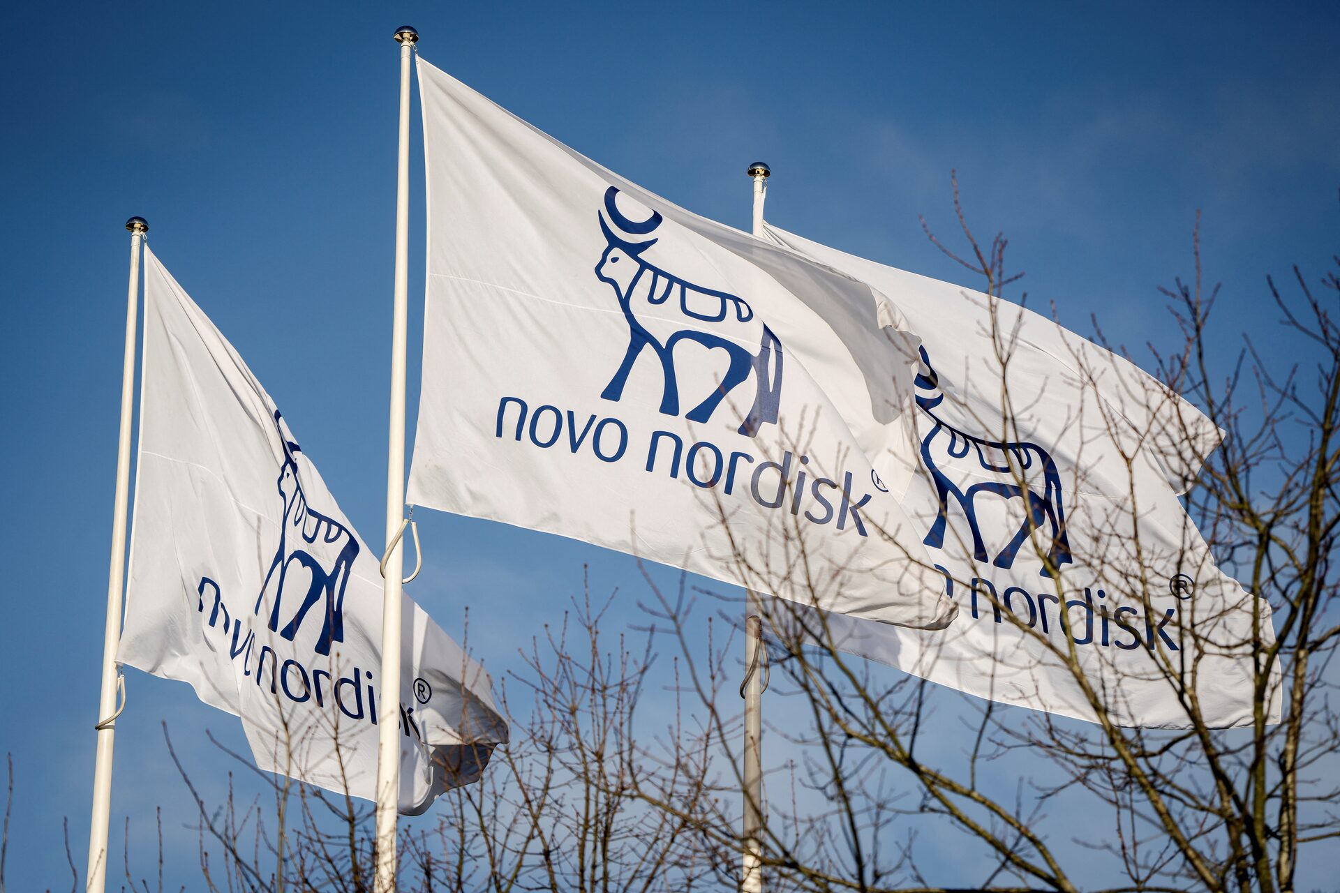 Obesity drugmaker Novo Nordisk reports fourth-quarter earnings