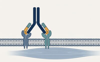 After EMBRAZE: The Wider Race to Preserve Muscle During GLP-1 Treatment
