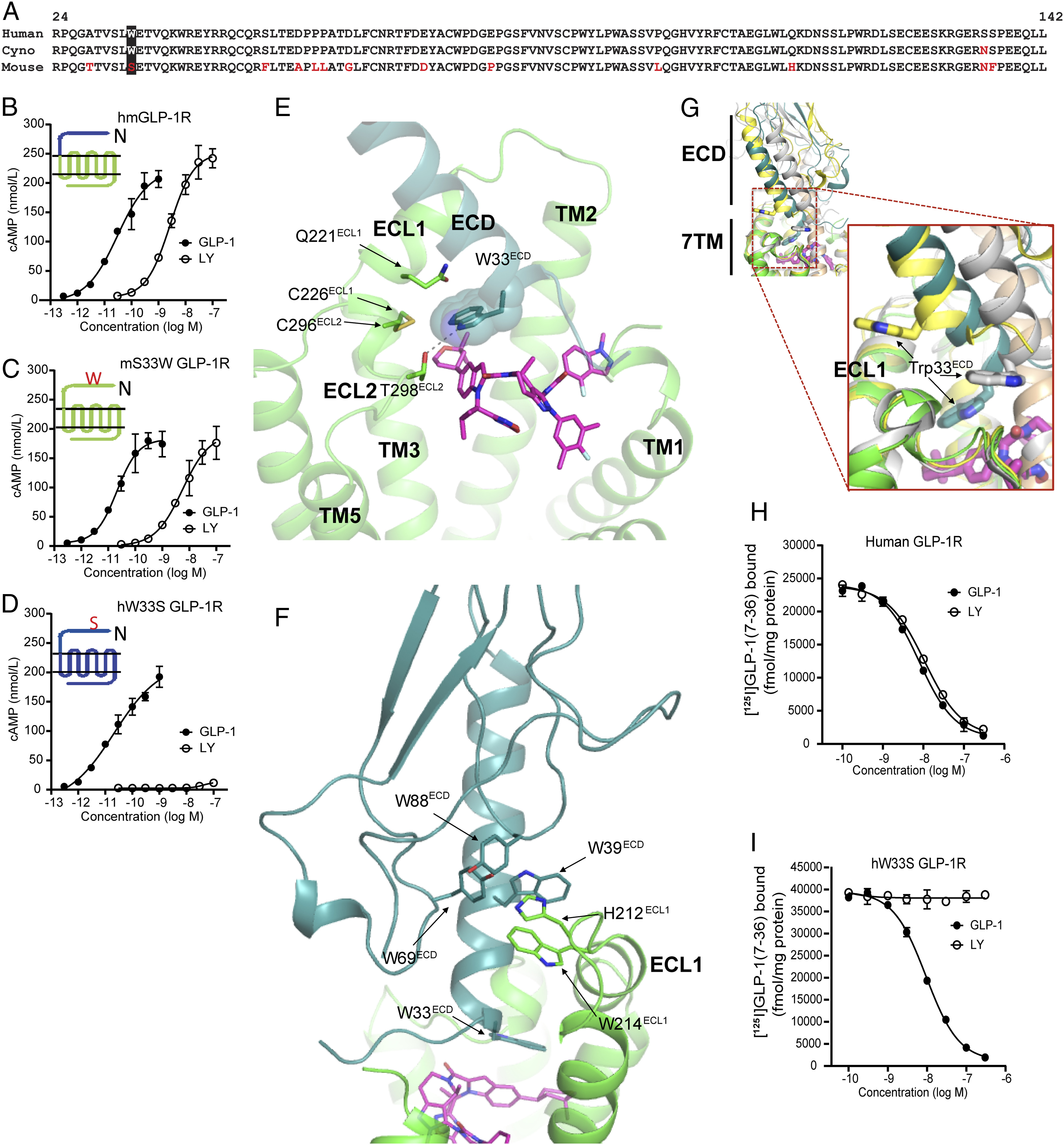 Chugai and Lilly publish how orforglipron activates the human GLP-1 receptor