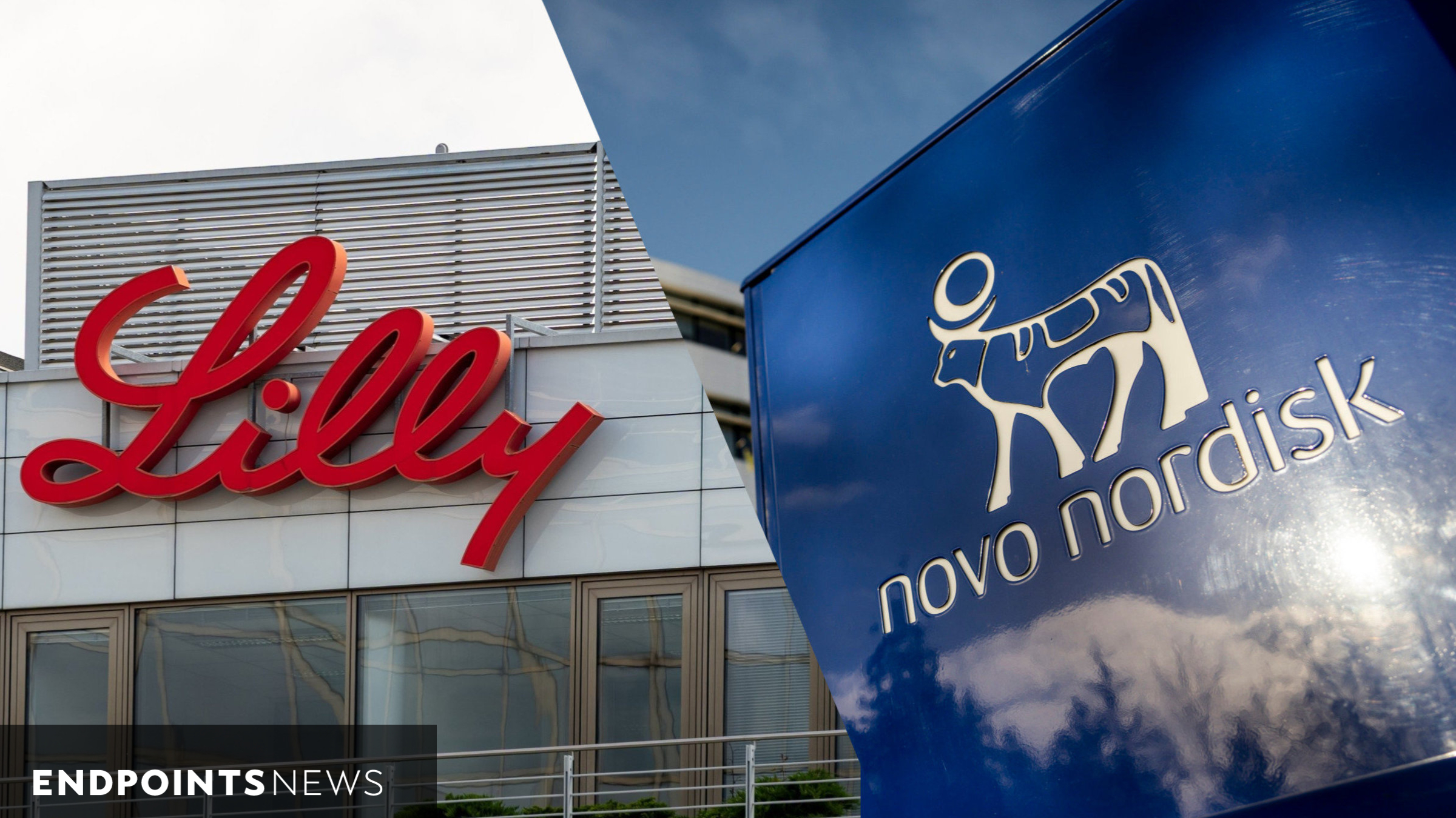 Amylin design debate sharpens ahead of Lilly's eloralintide mid-stage data