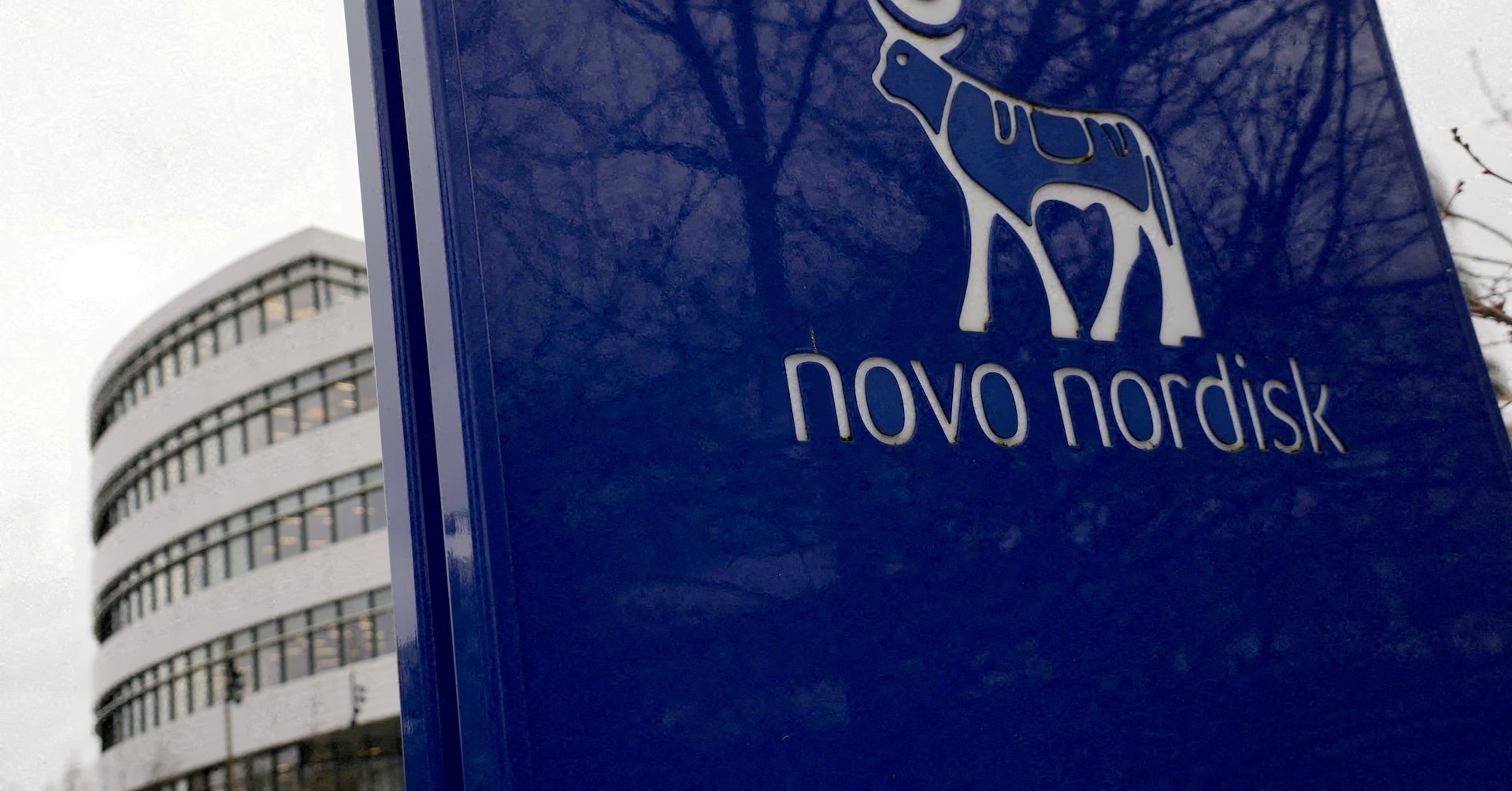 Judge lets CagriSema securities fraud claims against Novo Nordisk proceed