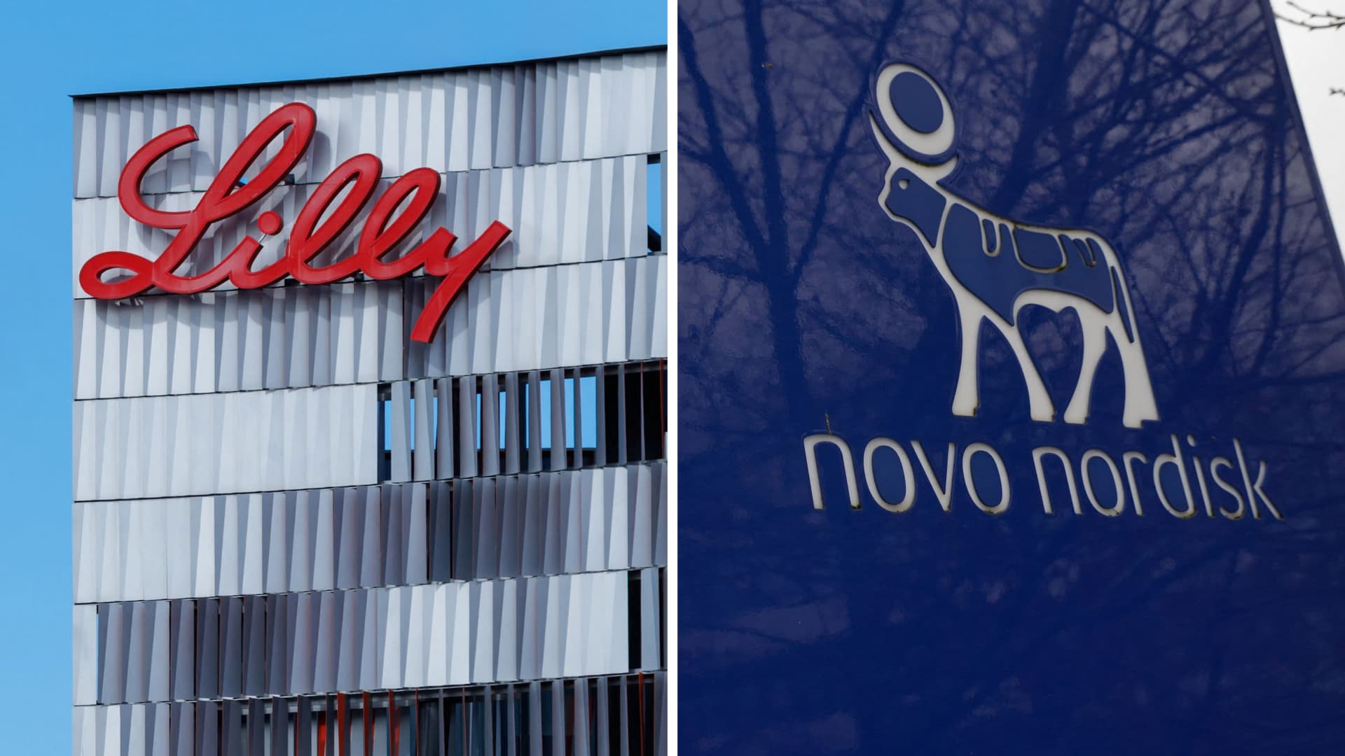 Novo Nordisk moves for a preliminary injunction against Lilly's GLP-1 advertising
