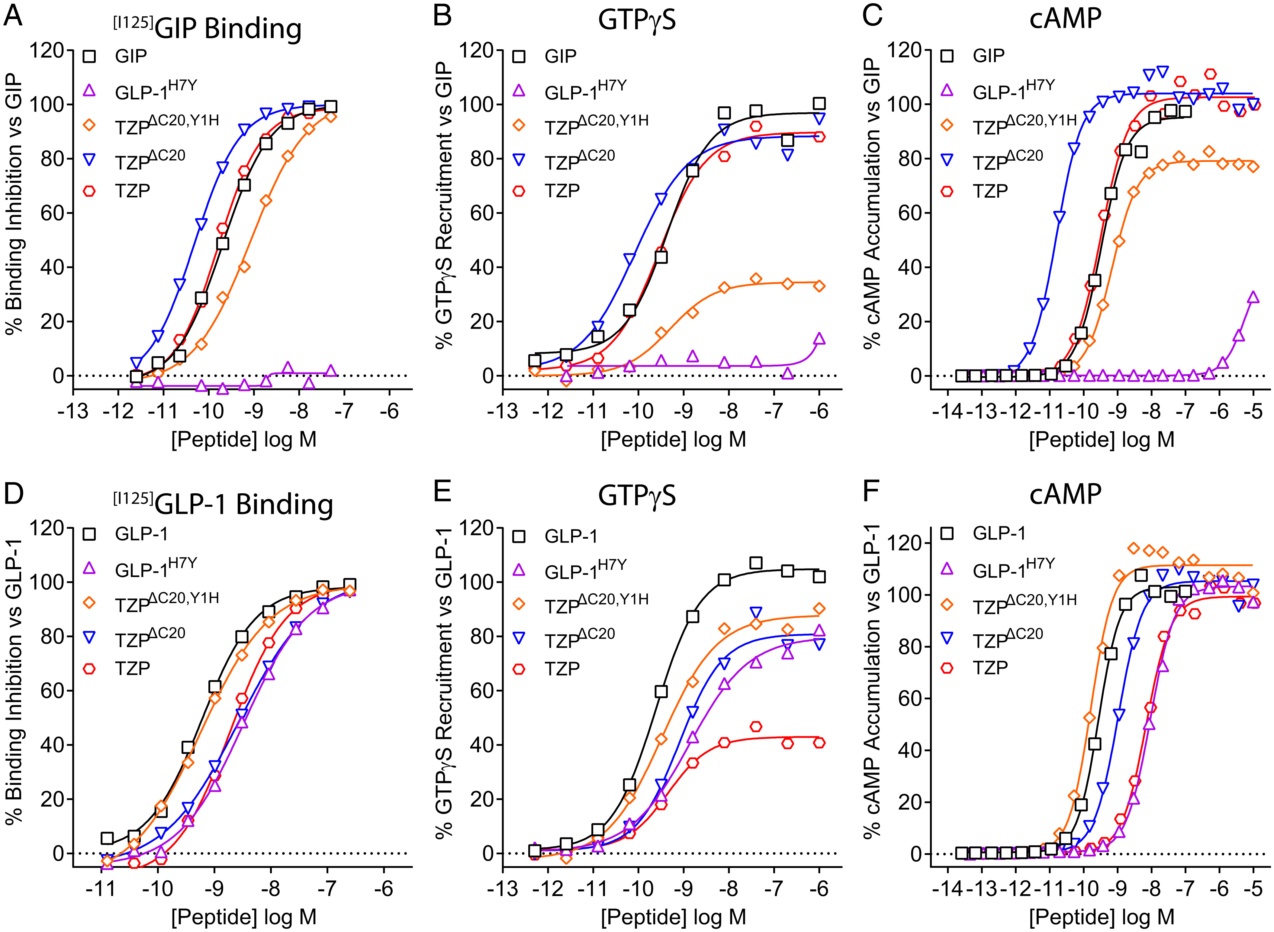 PNAS paper explains the structural basis of tirzepatide's dual agonism