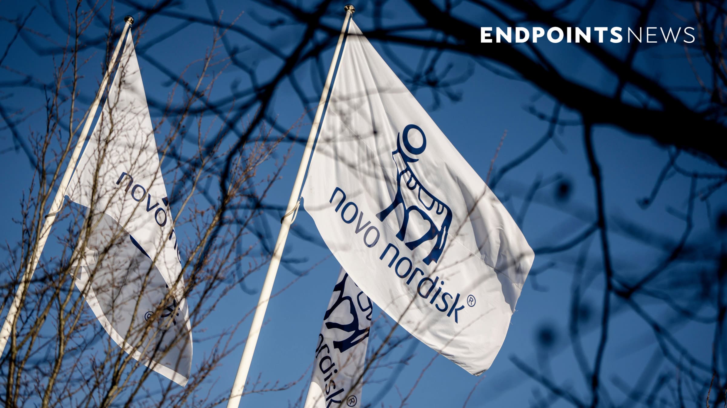 Novo Nordisk halts the HERMES and ATHENA ziltivekimab heart failure trials for futility