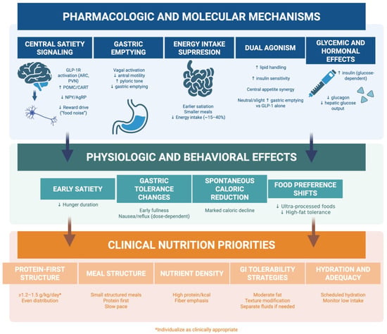 Nutrients publishes a nutrition-first framework for incretin therapy